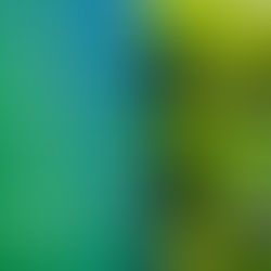 Den Boden verstehen – gezielt düngenBoden und Düngung aus der Perspektive des Säure-Basen-Gleichgewichts neu denken