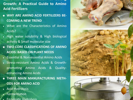 A Practical Guide to Amino Acid Fertilizers: Small-Molecule Nutrition for Strong Growth and High Quality