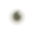 voda eggshell.png