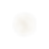 bsc eggshell.png
