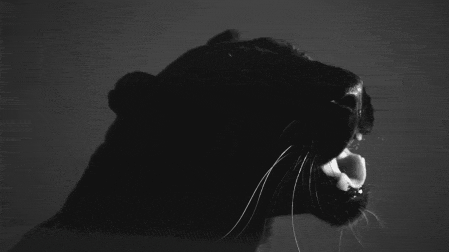 F73D0B89-04EC-41BE-A290-D365506F90D7.gif