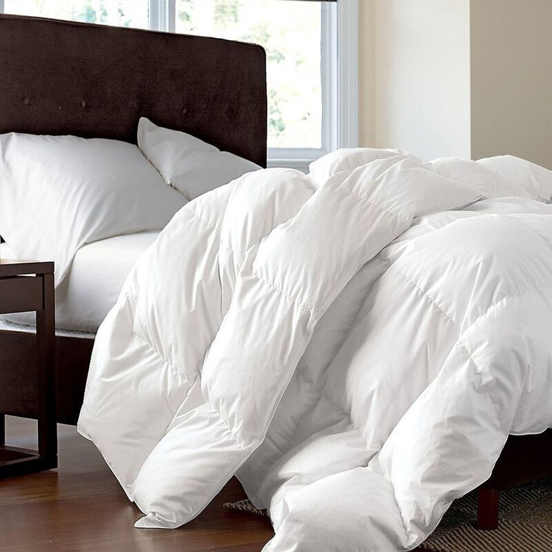 Why Eiderdown Comforter Is a MUST HAVE!