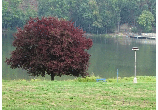 Swimming Lake Hostivař Prague Wild Swimming