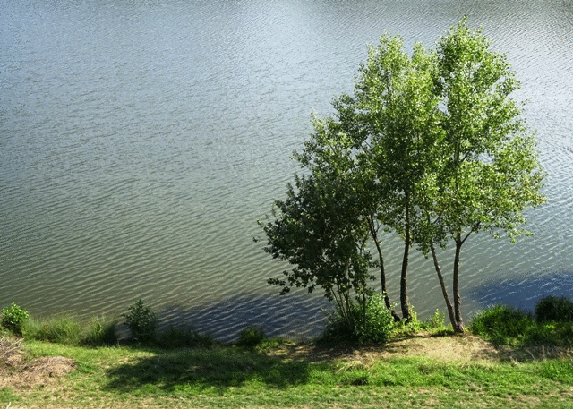 Lake Prague Swimming Vodní nádrž Džbán Wild Swimming Lake