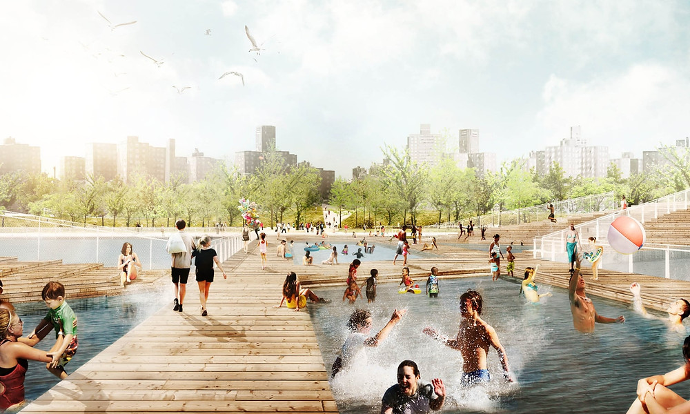 New York Dry Line Welcomes Wild Swimmers