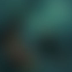 The Sting In The Tale..... Apparently.....?