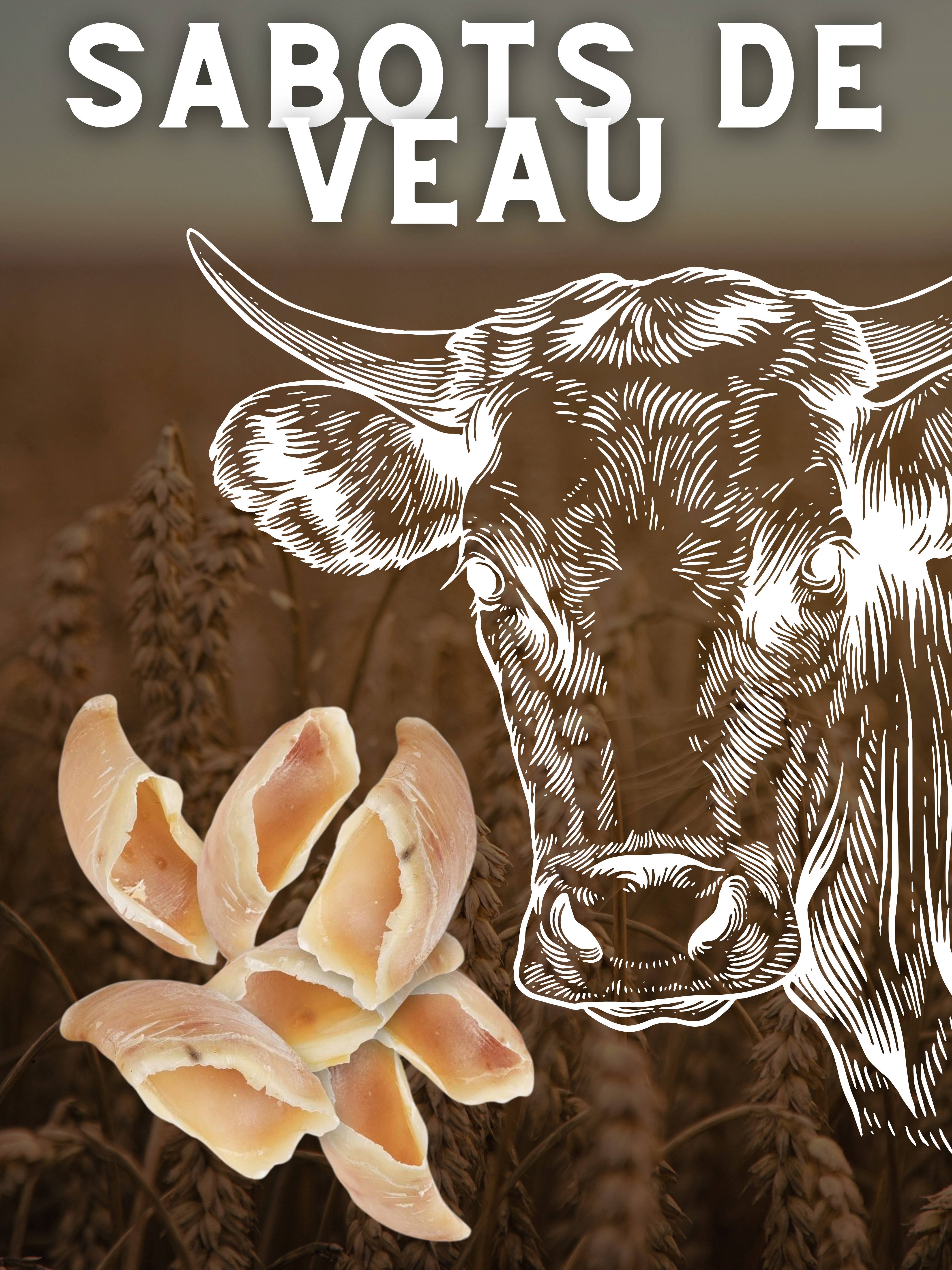 LOT DE 5 SABOTS DE VEAU