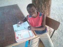 Emile l'élève sérieux