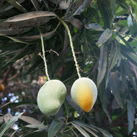 2026 - nos évènements