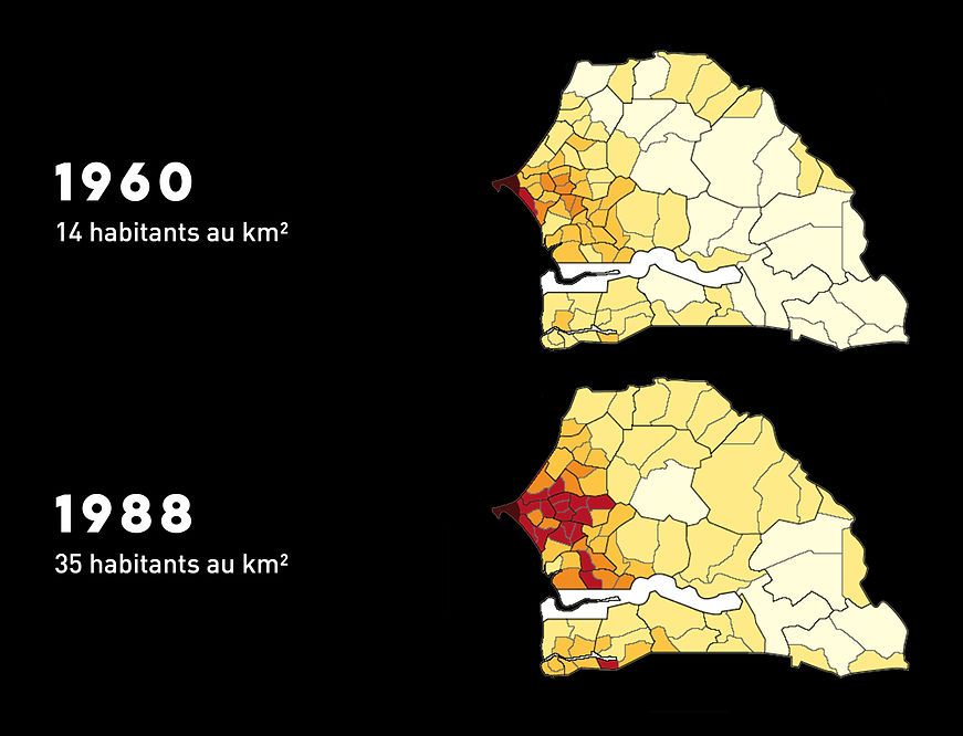 le regard d'émile sénégal