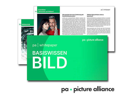 Kostenfrei: dpa-Whitepaper Basiswissen Bild 