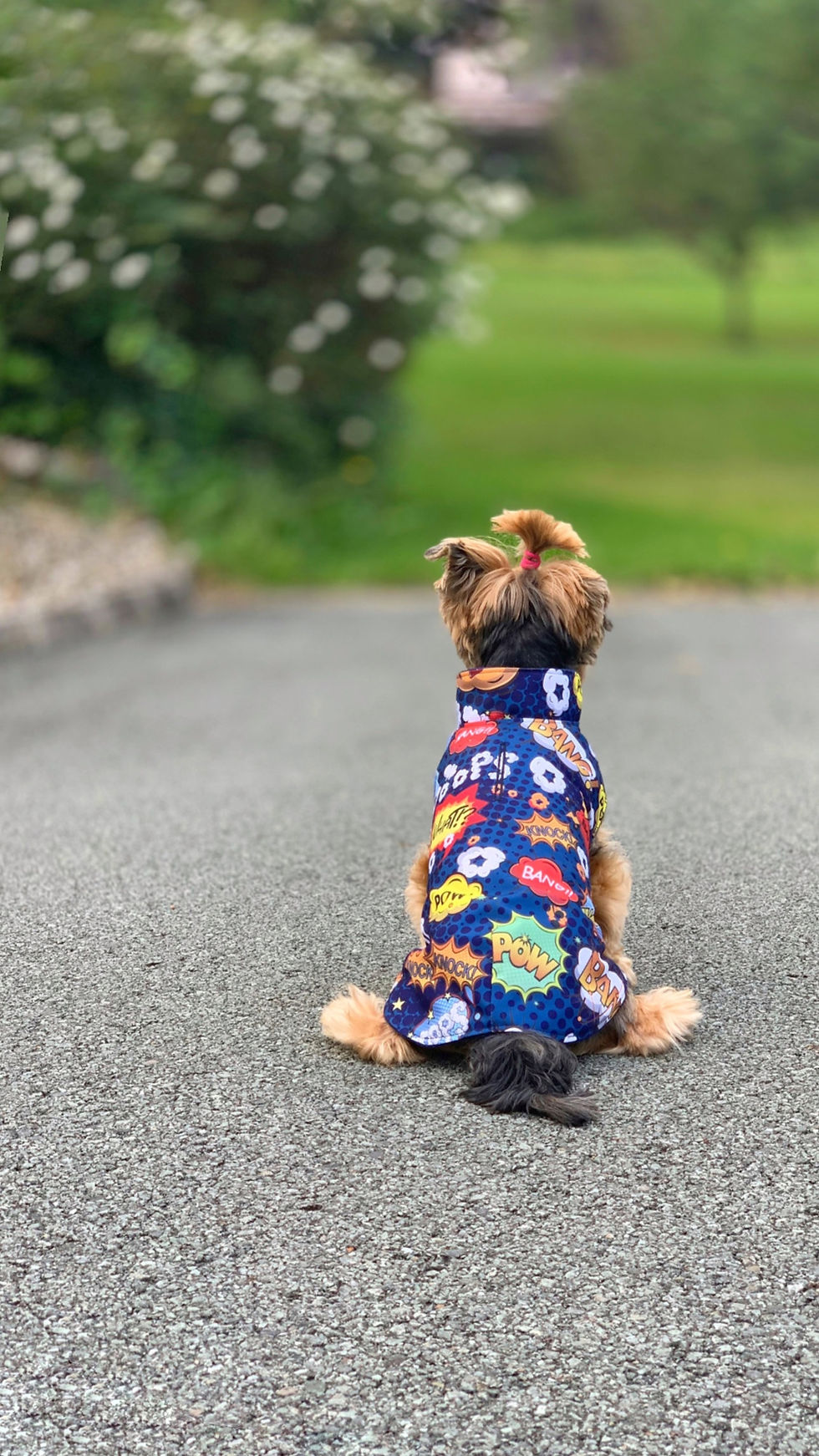 Miniaturbild: Jacke "Wuffi""