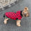 Miniaturbild: Jacke Leo rot