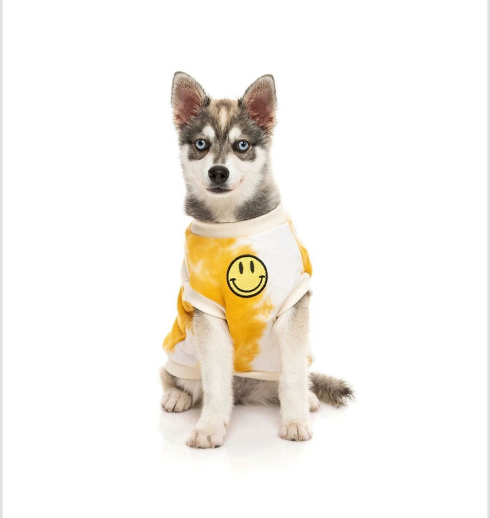 Miniaturbild: FUZZYARD SMILEY TIE-RUS SWEATER -Yellow