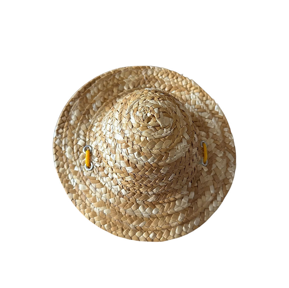 Miniaturbild: Hut für Hunde