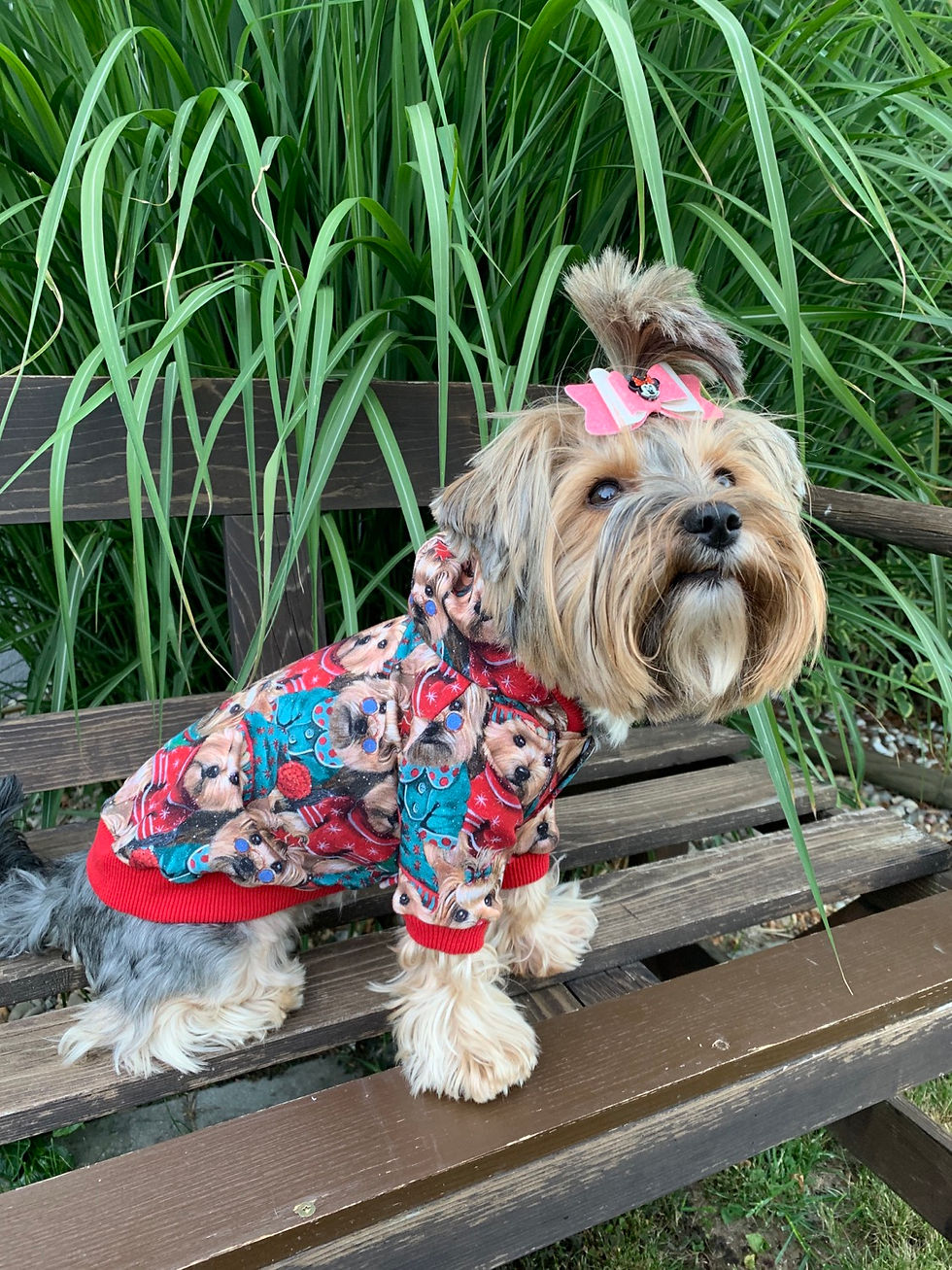 Miniaturbild: Weste “Yorkie“