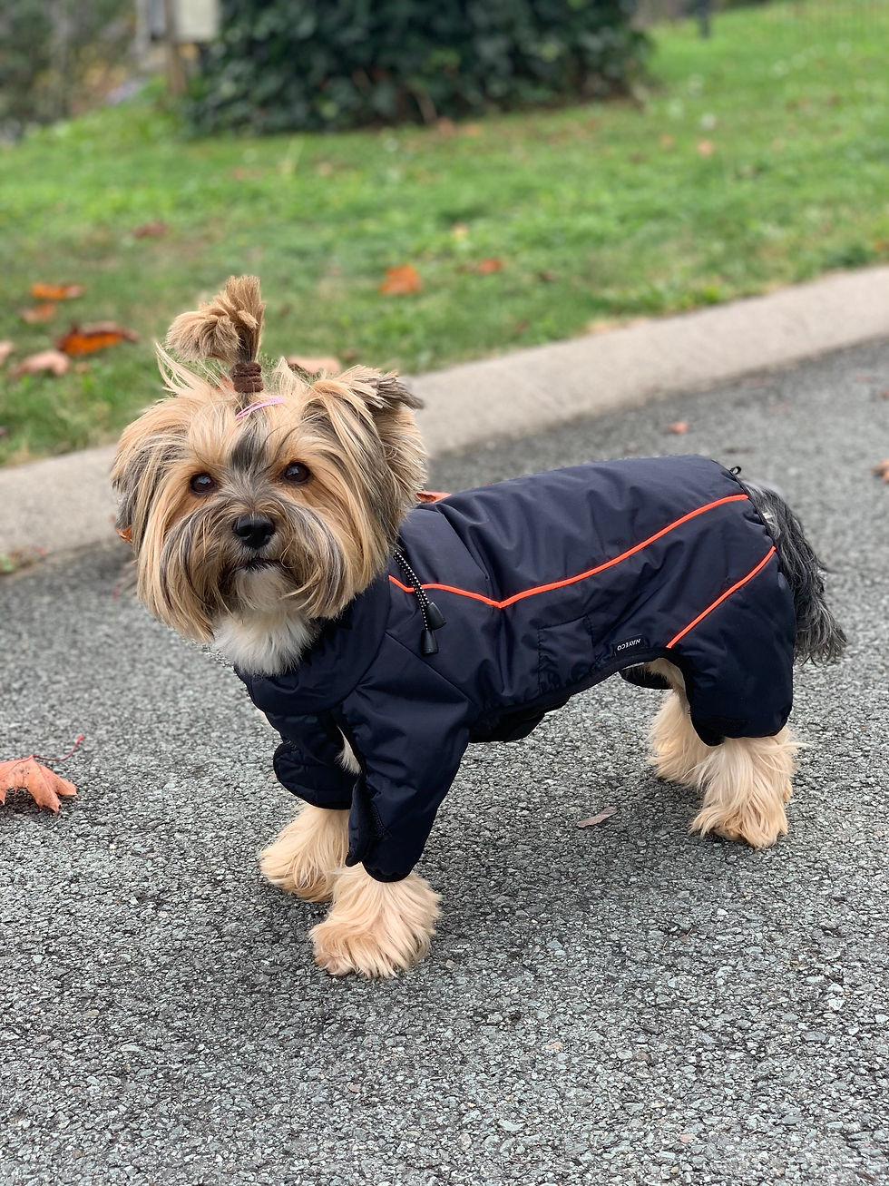 Miniaturbild: Regenanzug "Black" mit Fleece