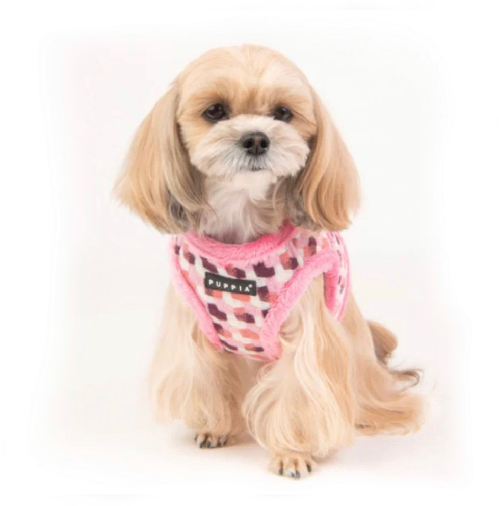 Miniaturbild: Puppia ARDEN HARNESS B