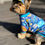 Miniaturbild: T-Shirt "Cool"