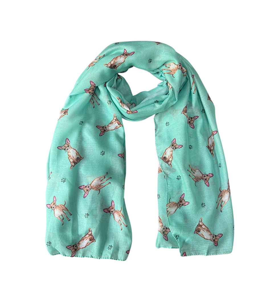 Damen Schal „Chihuahua“