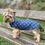 Miniaturbild: Regenjacke blau/gold