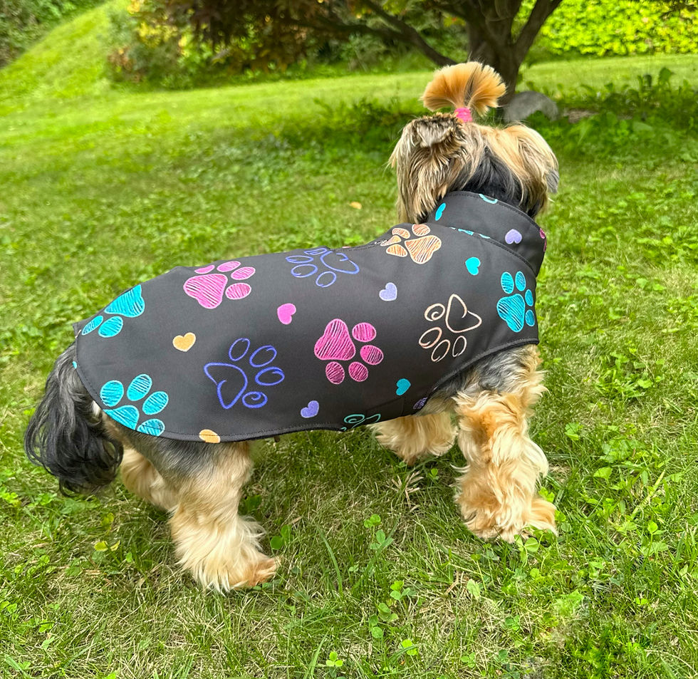 Miniaturbild: Regenjacke „Woof & Co“