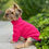 Miniaturbild: Pullover pink