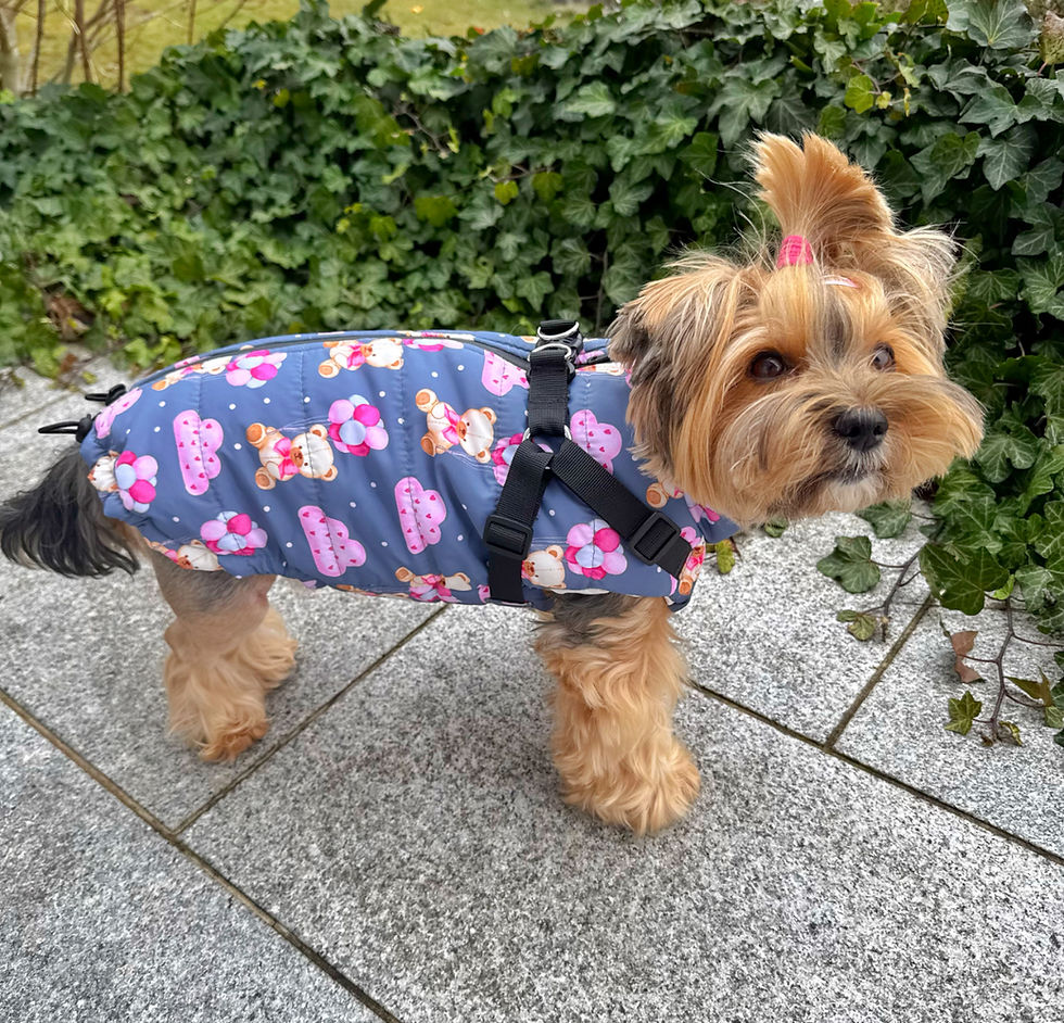 Miniaturbild: Handgemachte Winterjacke "Teddy"