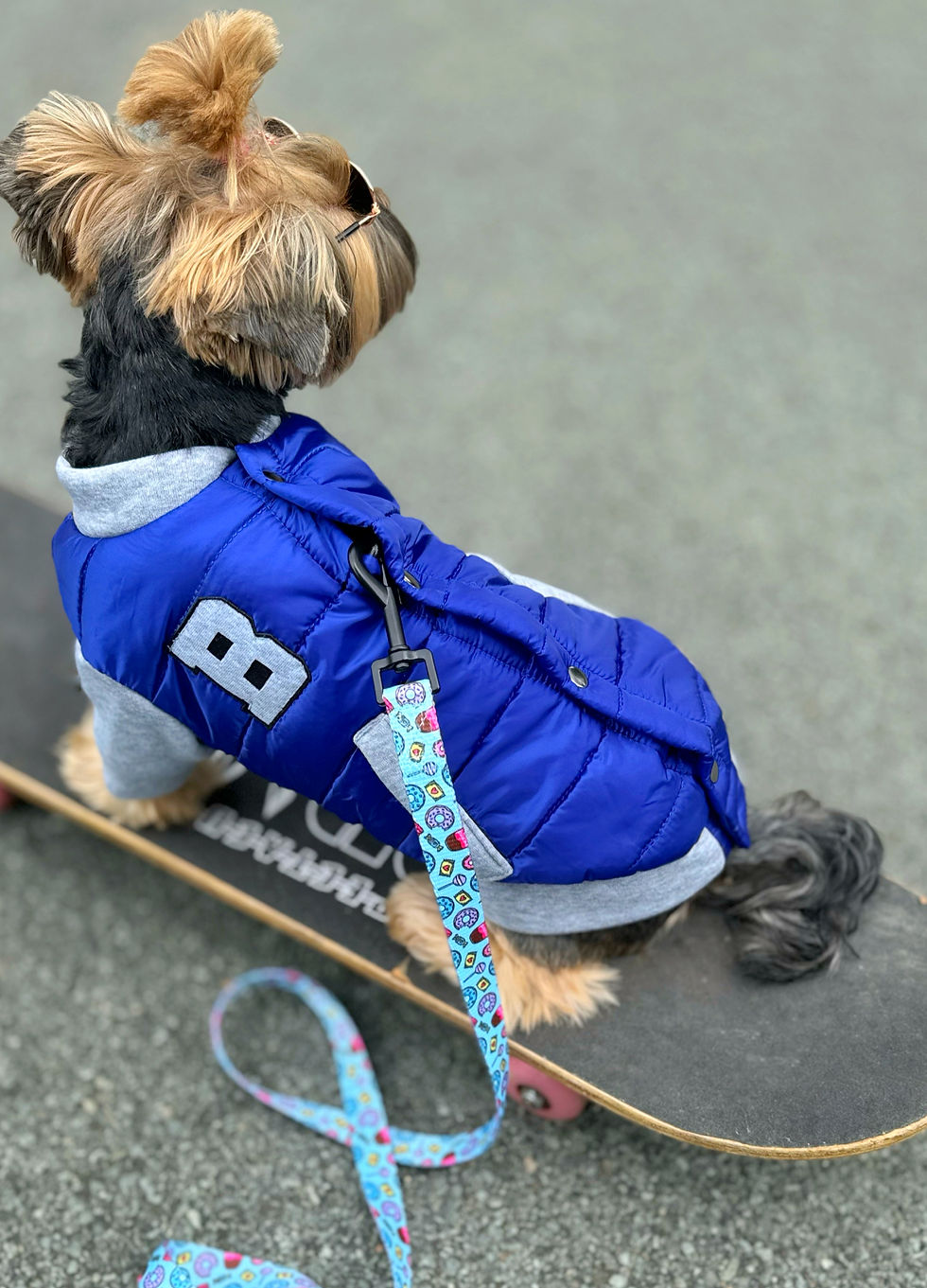 Miniaturbild: College Jacke blau