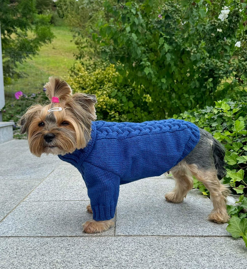 Miniaturbild: Pullover blau