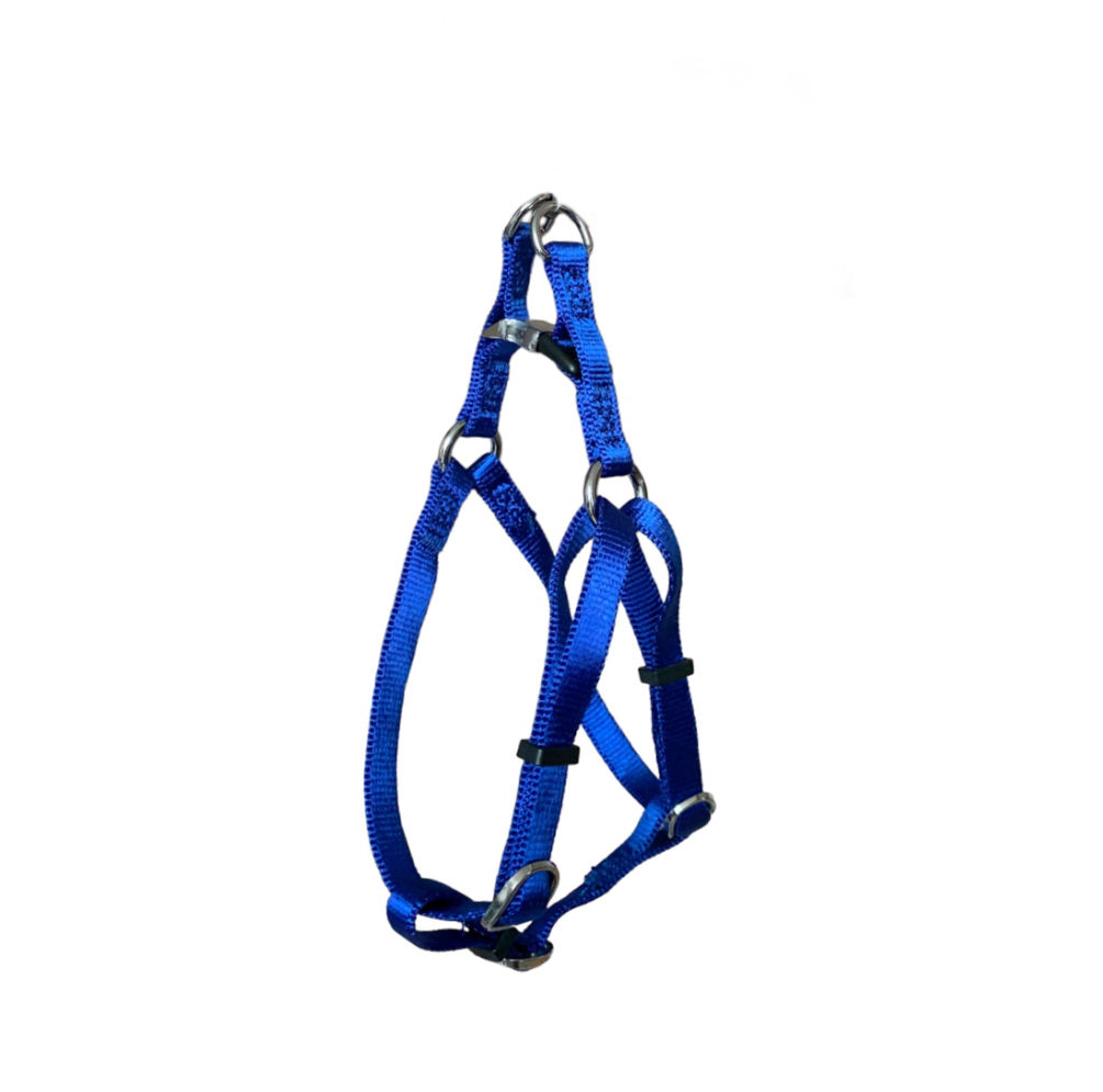 Ferribiella Geschirr blau