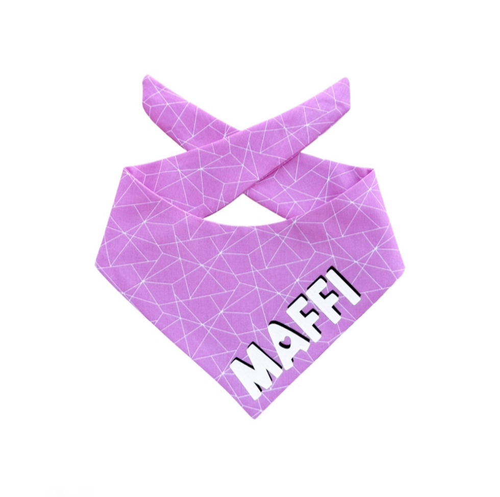 Personalisiertes Hundehalstuch rosa