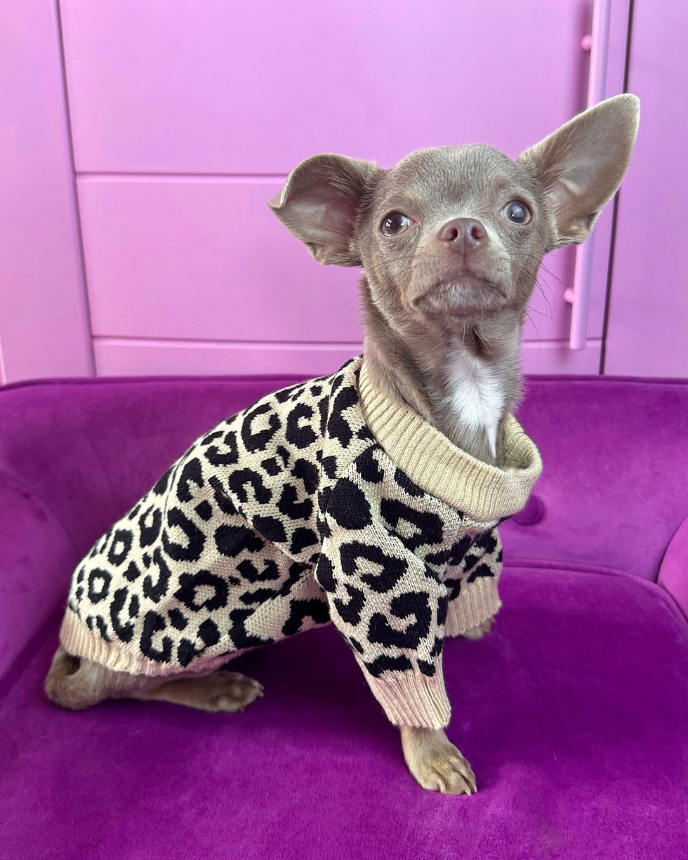 Miniaturbild: Pullover Leo