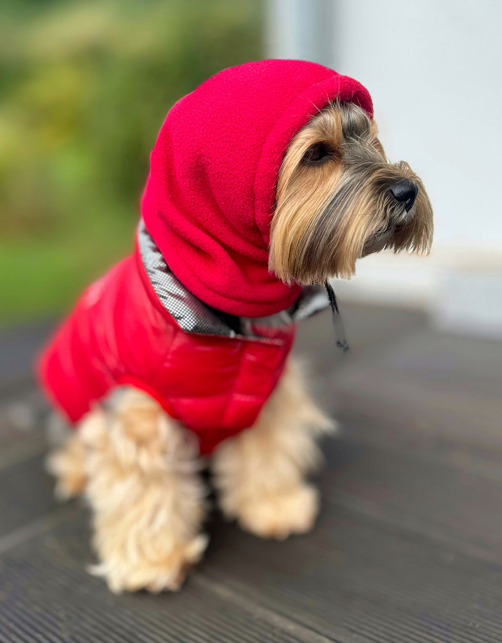 Miniaturbild: Fleece Hunde Haube