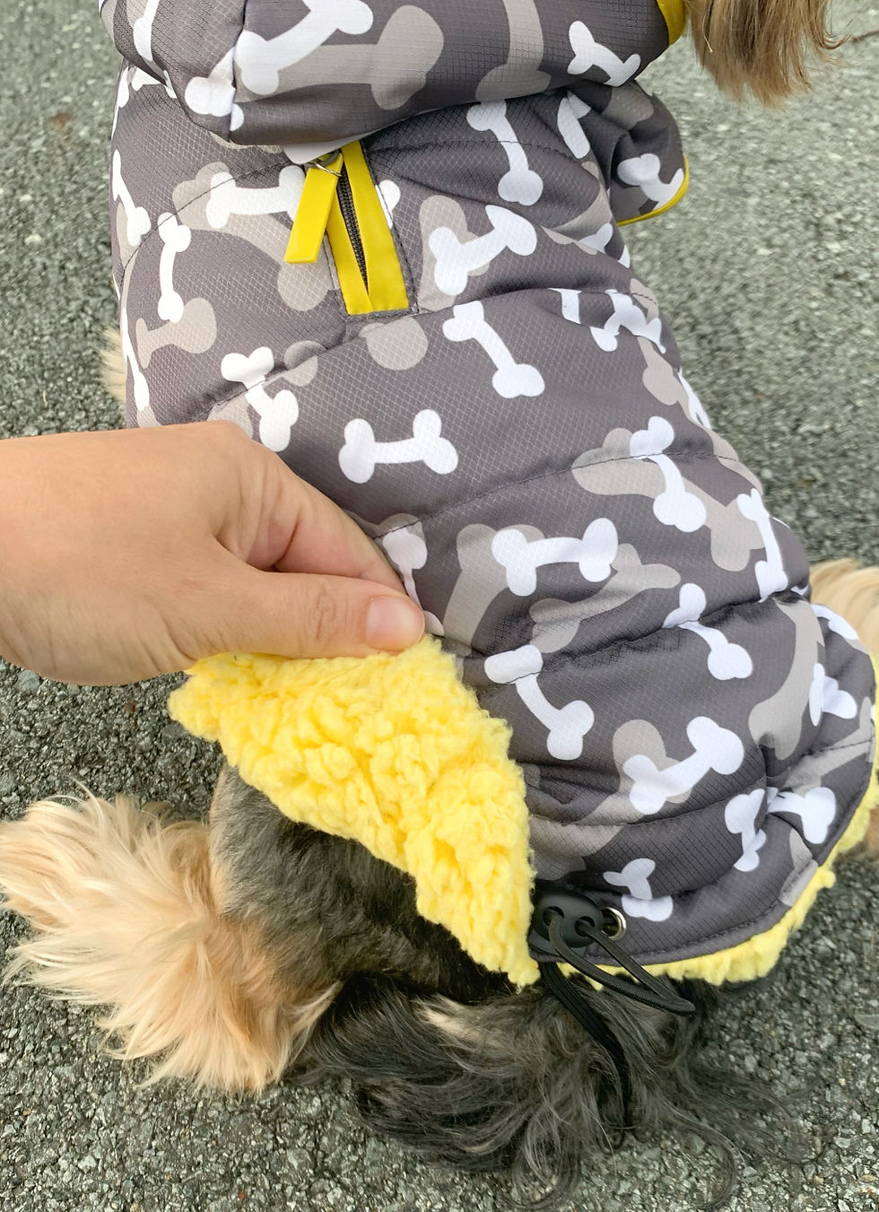 Miniaturbild: Jacke "Süßer Knochen"