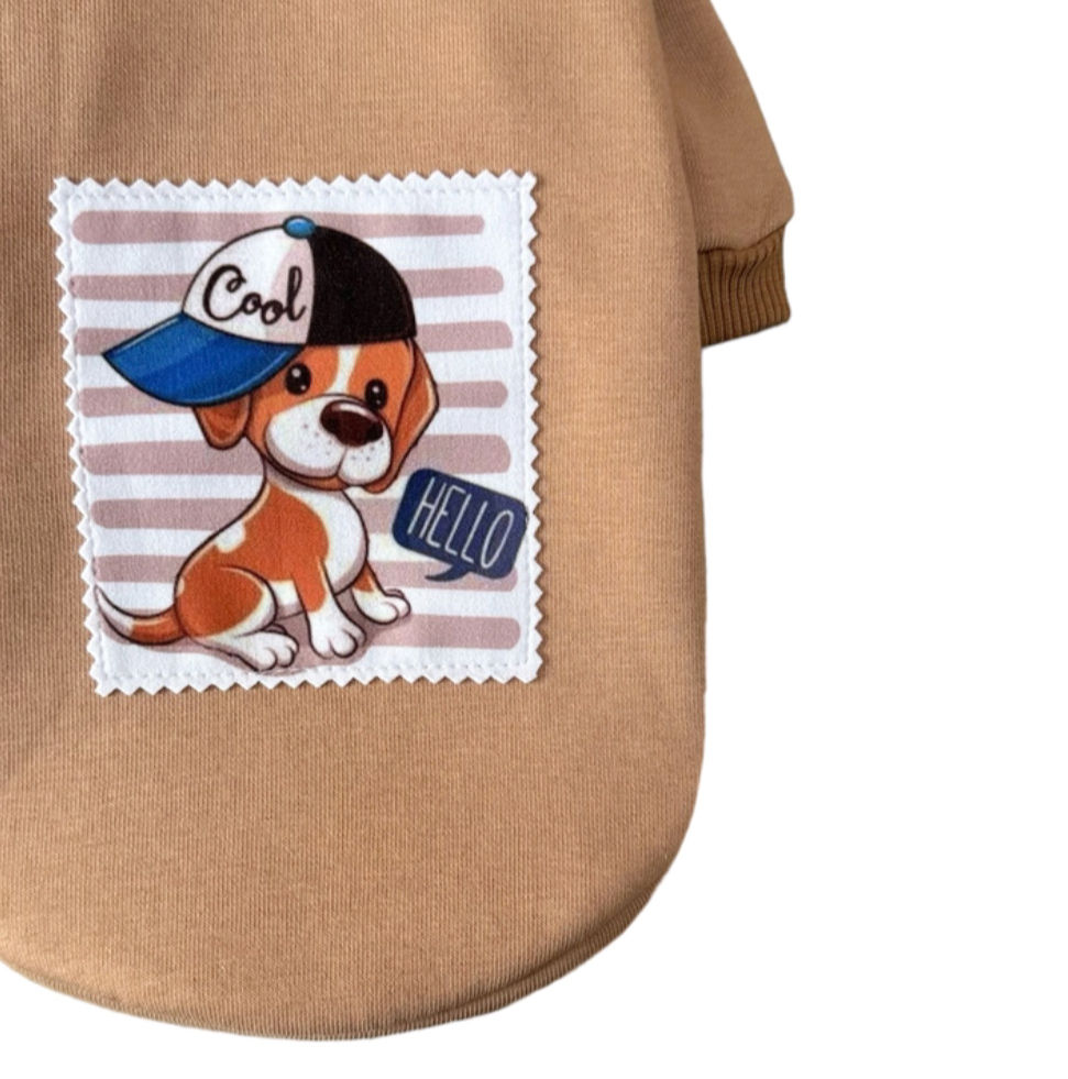 Miniaturbild: Hoodie "Cool"