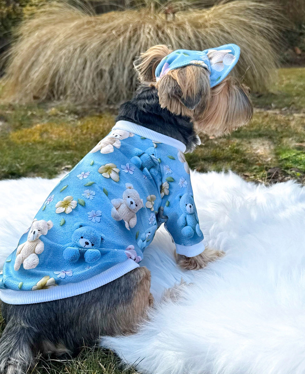 Miniaturbild: Kappe für Hunde "Bär" hellblau