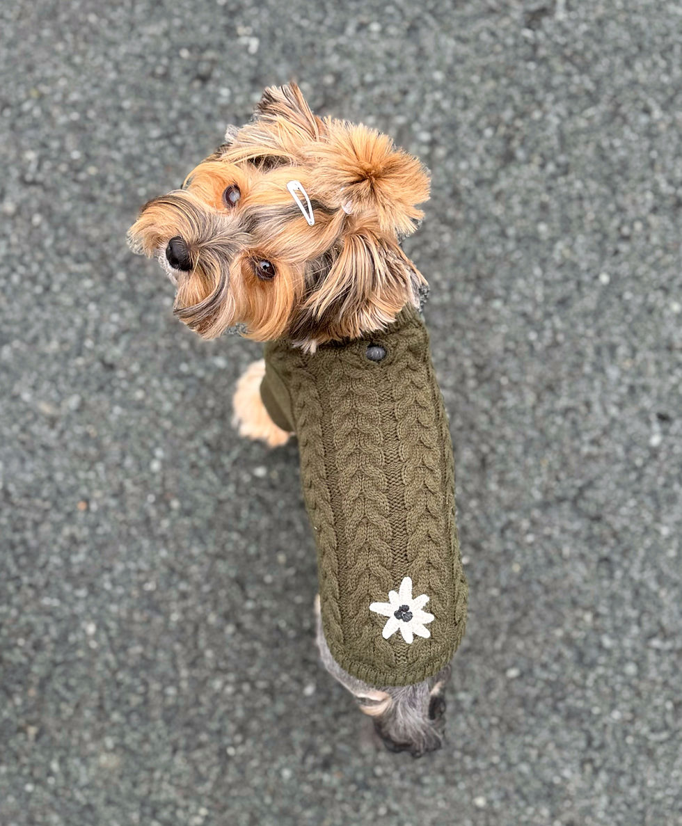 Miniaturbild: Trachten Pullover
