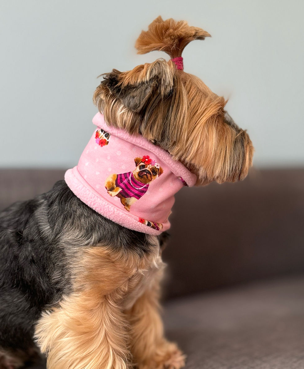 Miniaturbild: Hunde Loop "Cute Dog"