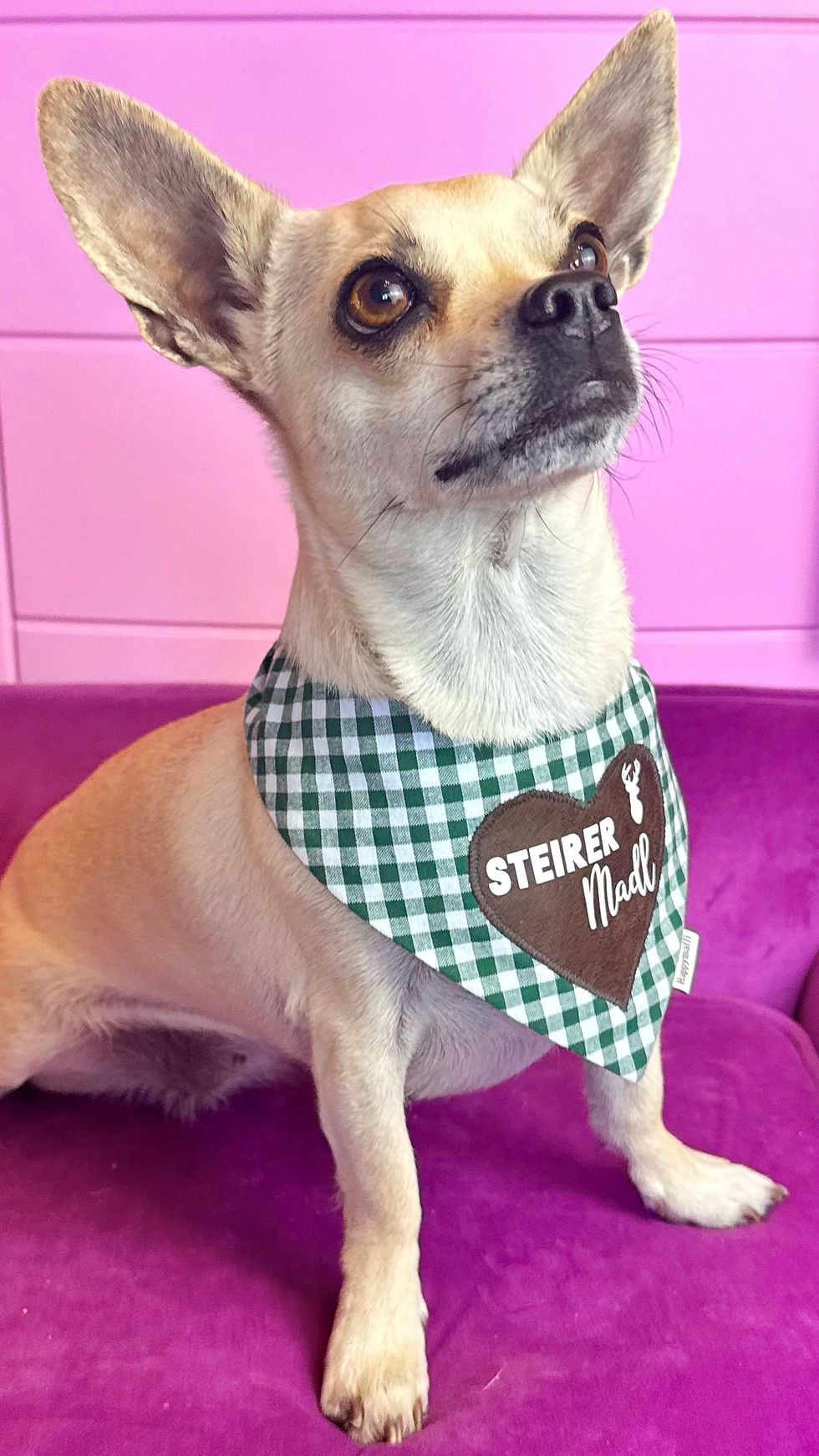 Miniaturbild: Trachten Halstuch "Steirer Madl"