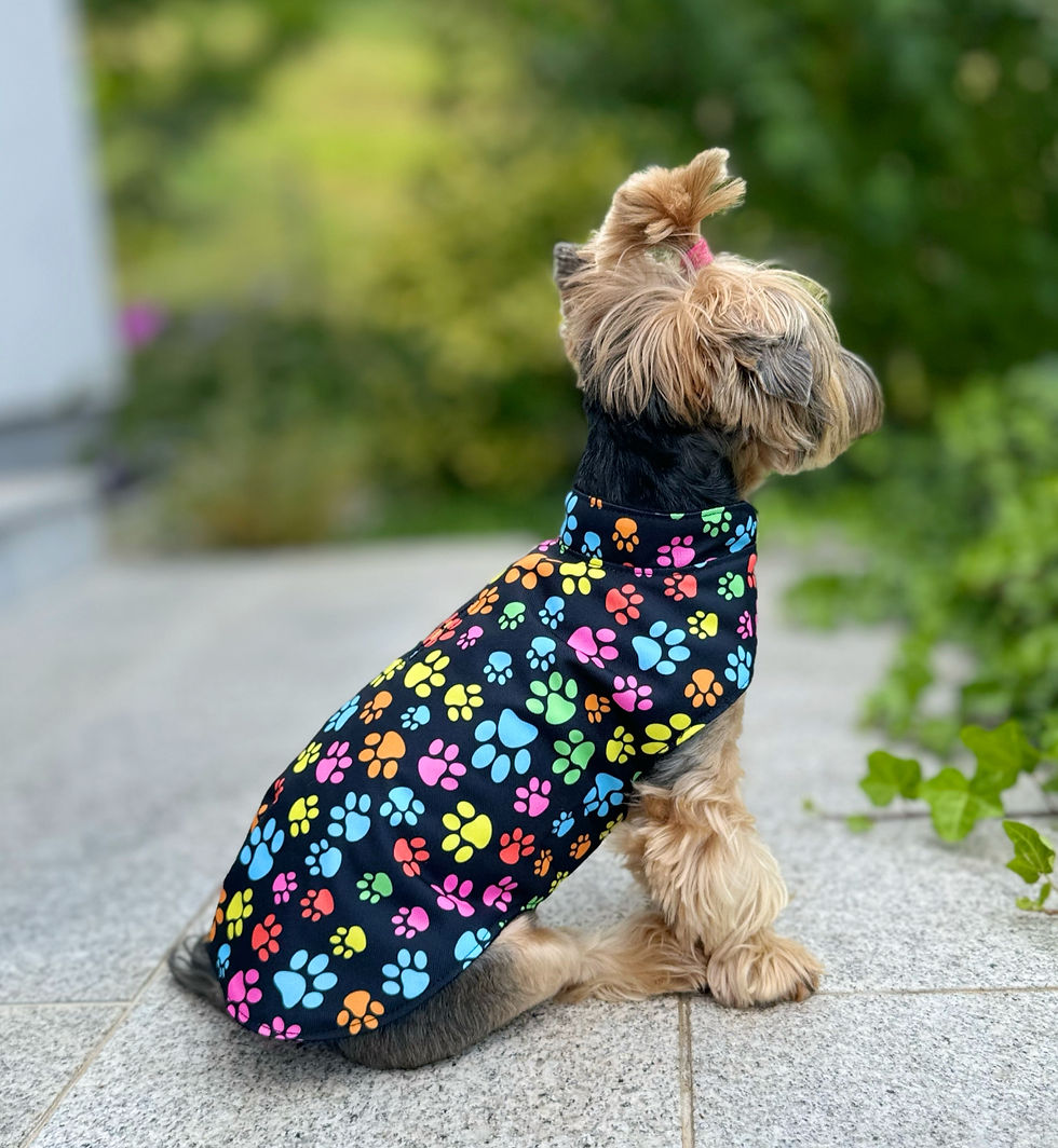 Miniaturbild: Regenjacke „Pfotchen“