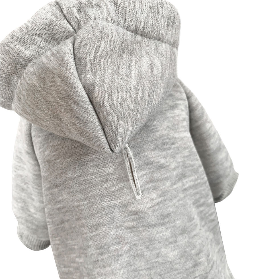 Miniaturbild: Hoodie “Sam”