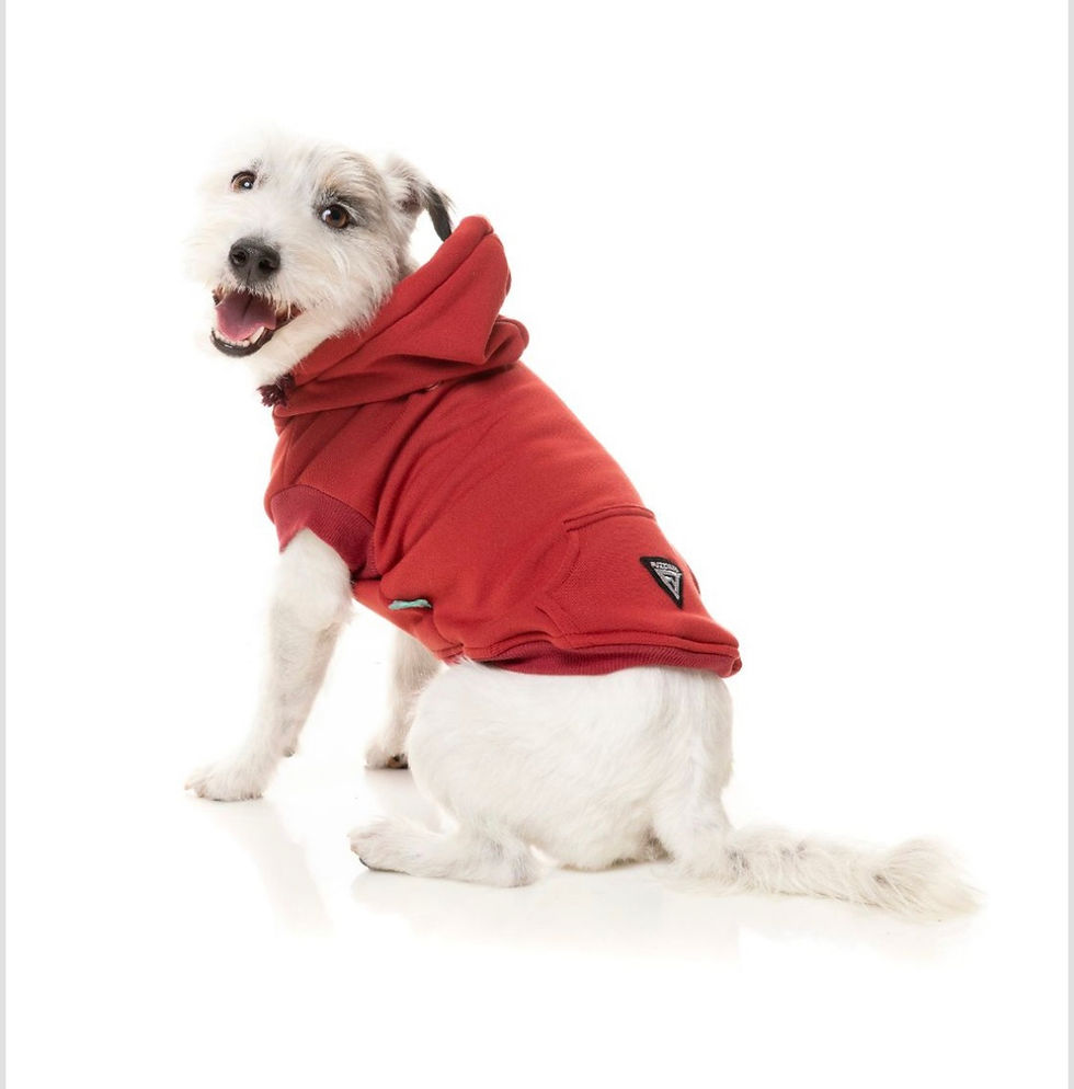 Miniaturbild: FuzzYard street Hoodie
