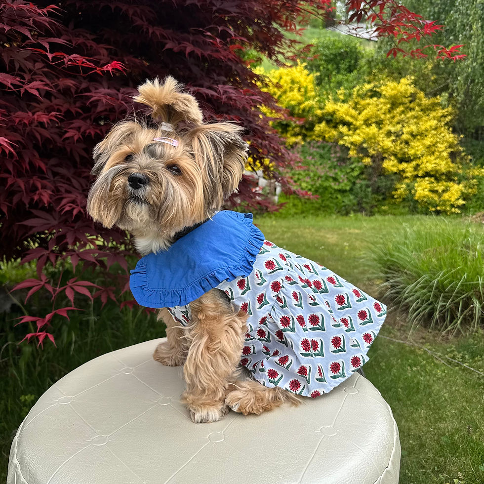 Miniaturbild: Kleid "Flowers"