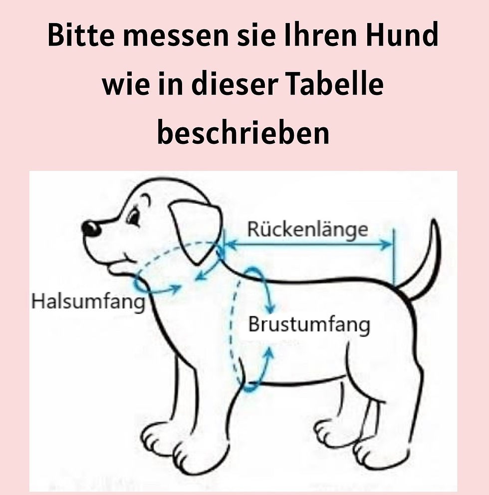 Miniaturbild: Anzug 2 in 1