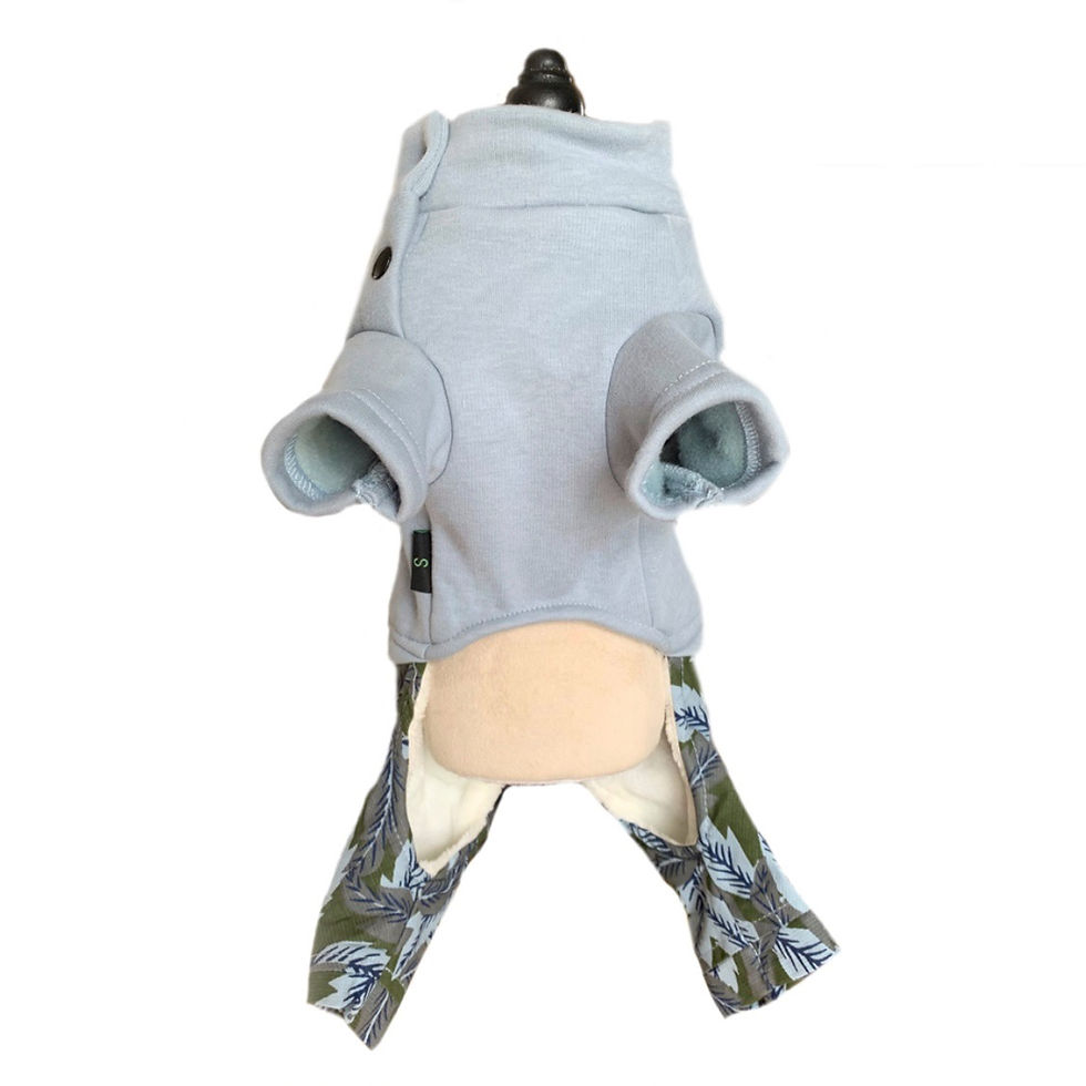 Miniaturbild: Anzug 2 in 1