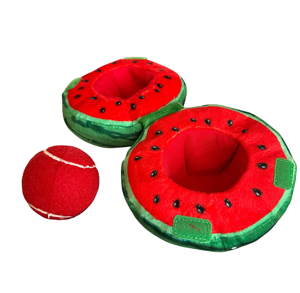 Miniaturbild: Croci Wassermelone + Ball