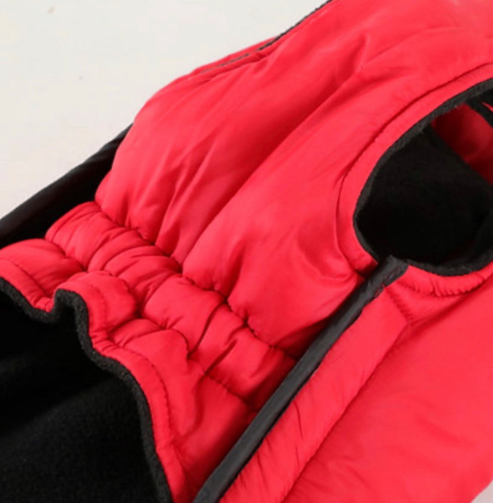 Miniaturbild: Jacke Cosmo Red 