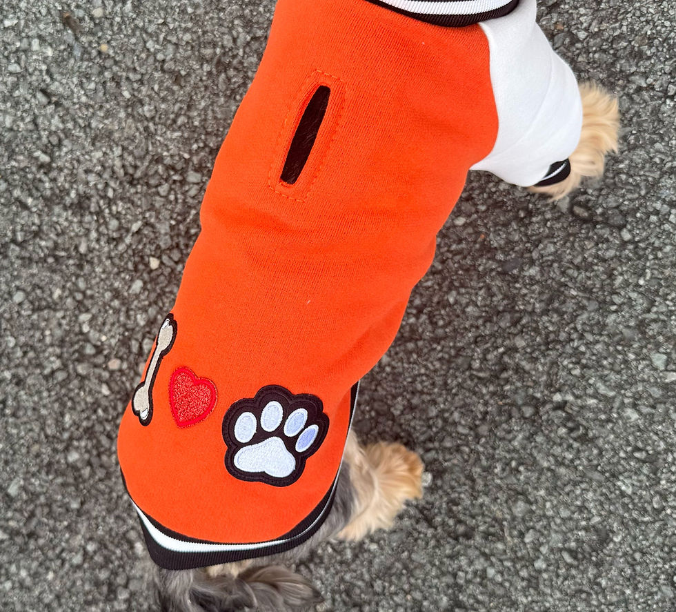 Miniaturbild: College Sweatshirtjacke orange