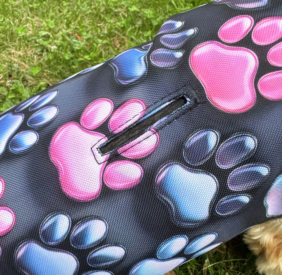 Miniaturbild: Regenjacke "Dogs"